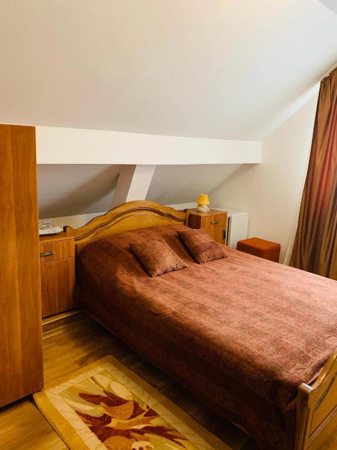 Alex & Maria Hotel Cărpinişu Exterior photo