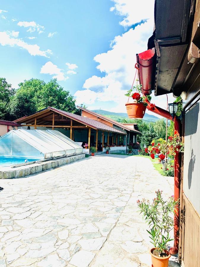 Alex & Maria Hotel Cărpinişu Exterior photo