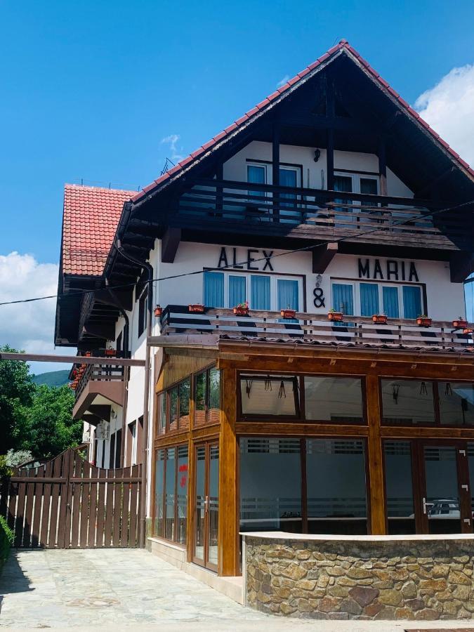 Alex & Maria Hotel Cărpinişu Exterior photo