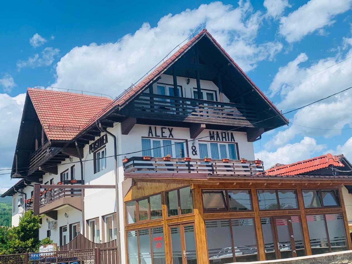 Alex & Maria Hotel Cărpinişu Exterior photo